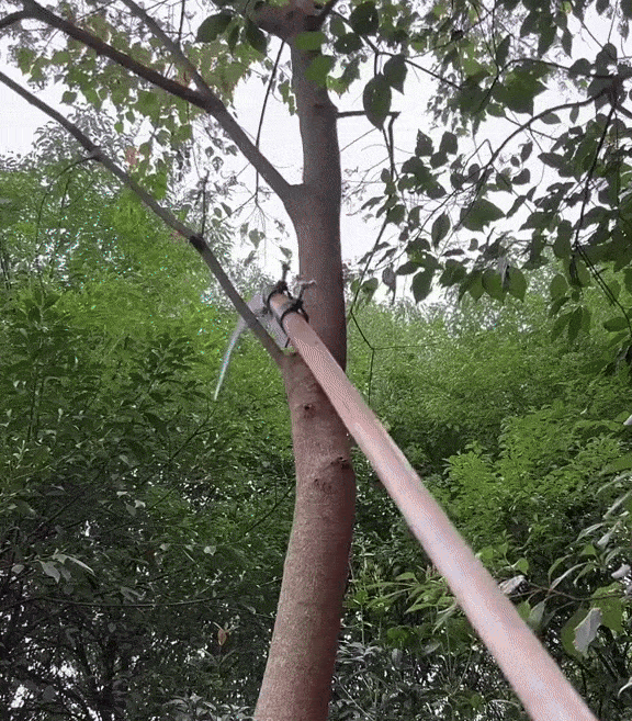Multifunctional Portable Grass Sickle Cutter Head